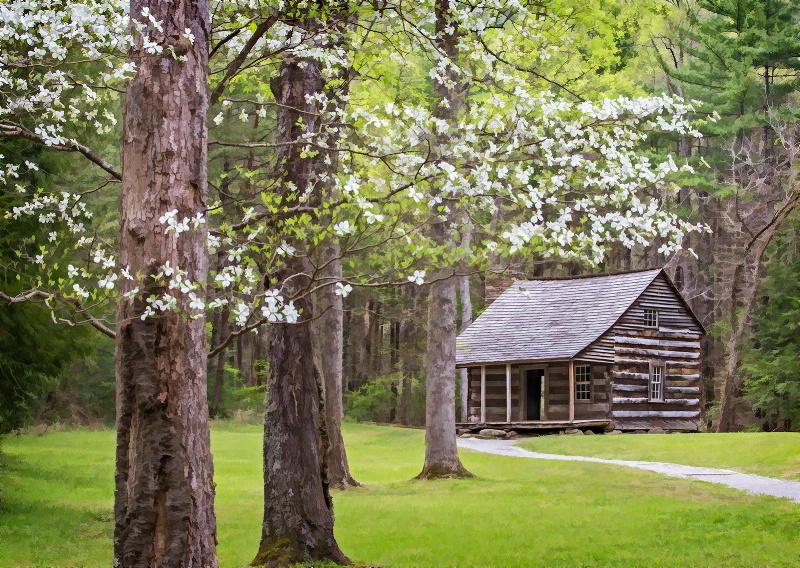 Smoky Mountain Cabin   