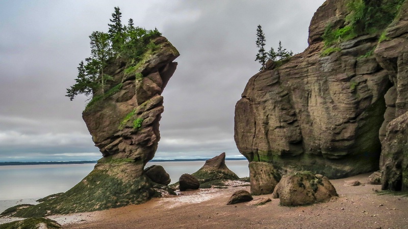 Hopewell Rocks - ID: 15146024 © Patricia A. Casey