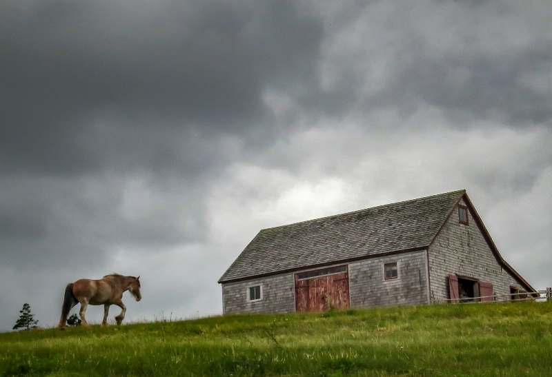 Headed Home - ID: 15146026 © Patricia A. Casey