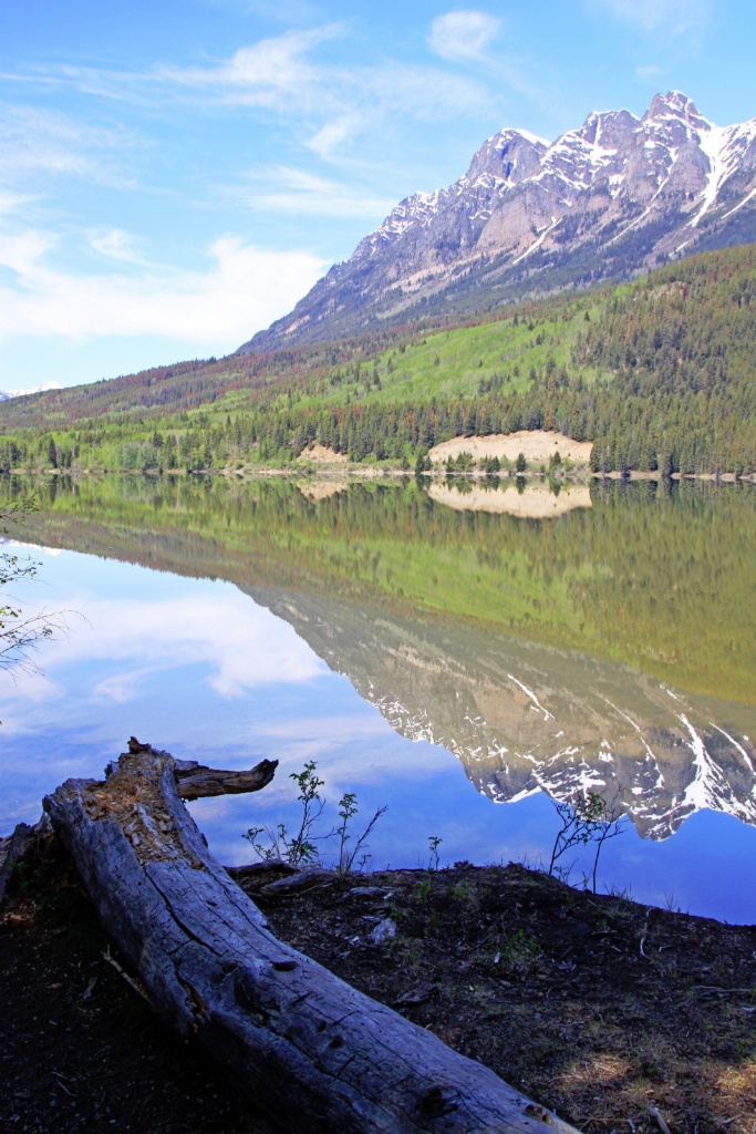 Yellowhead Lake Reflection - Vertical