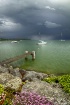 Stormy summer