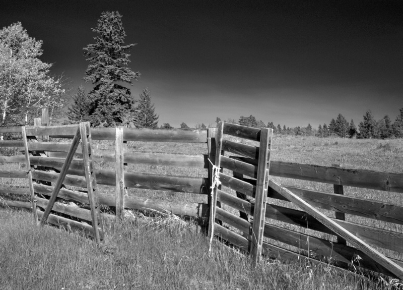Country Fence 