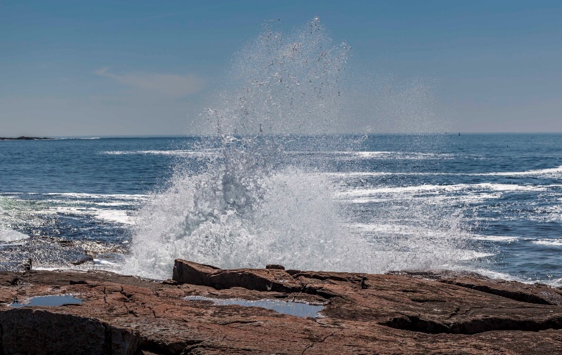 Schoodic Splash - ID: 15148452 © Patricia A. Casey