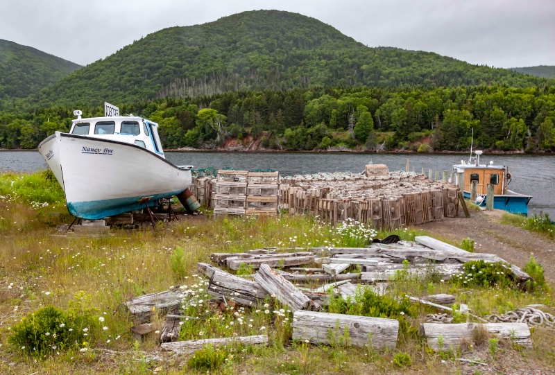 Waiting for the Skipper - ID: 15148455 © Patricia A. Casey