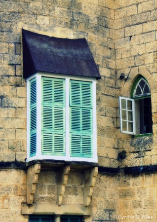 Rapunzel's Window