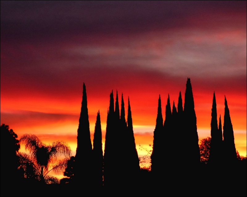 Sunrise  Sentinels 