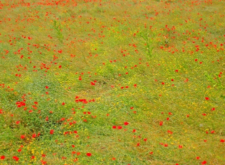 Springtime Ground Embroidery.