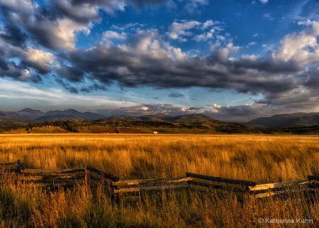 Fields of Gold