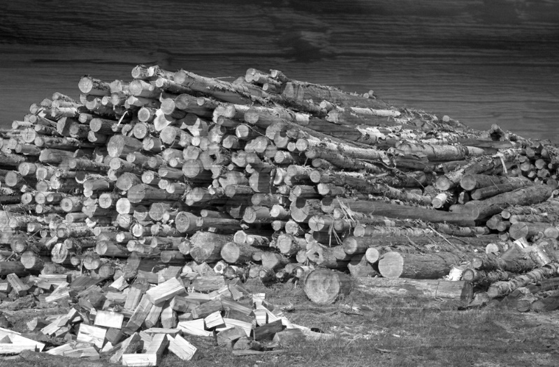 The Log Pile