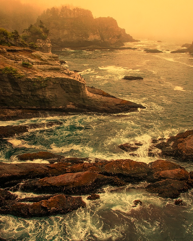 Cape Flattery