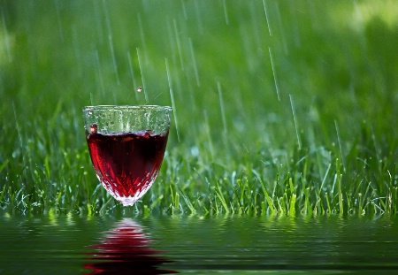 Wet Wine