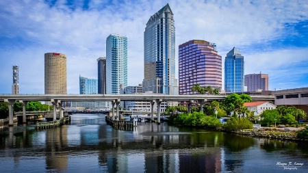 Tampa Skyline