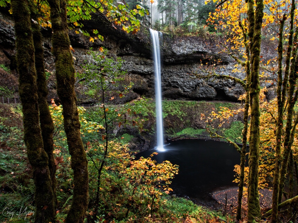 South Falls - ID: 15152018 © Craig W. Myers