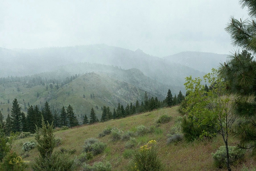 May Snow In The Sierra