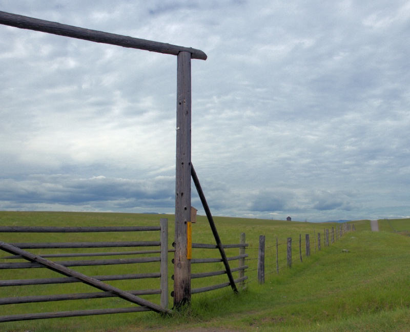 Gate on the Plain