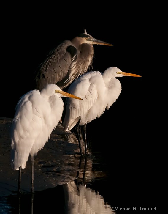 Three Amigos at Sunrise