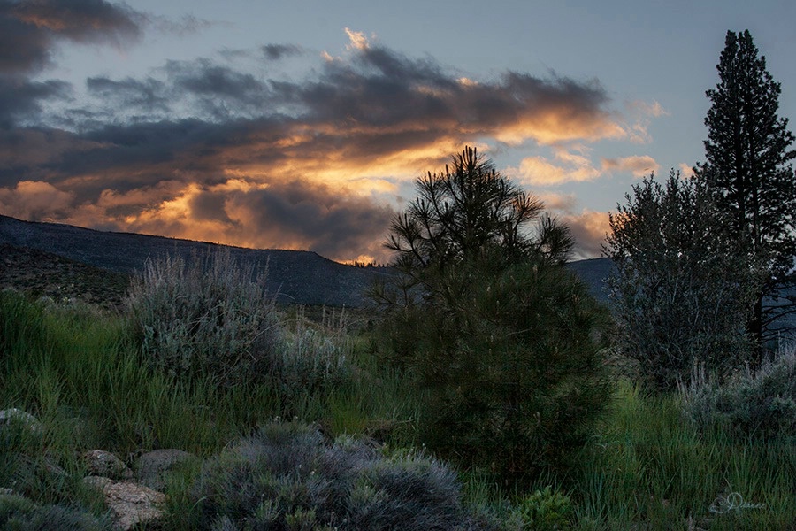 Sunset In The Sierra