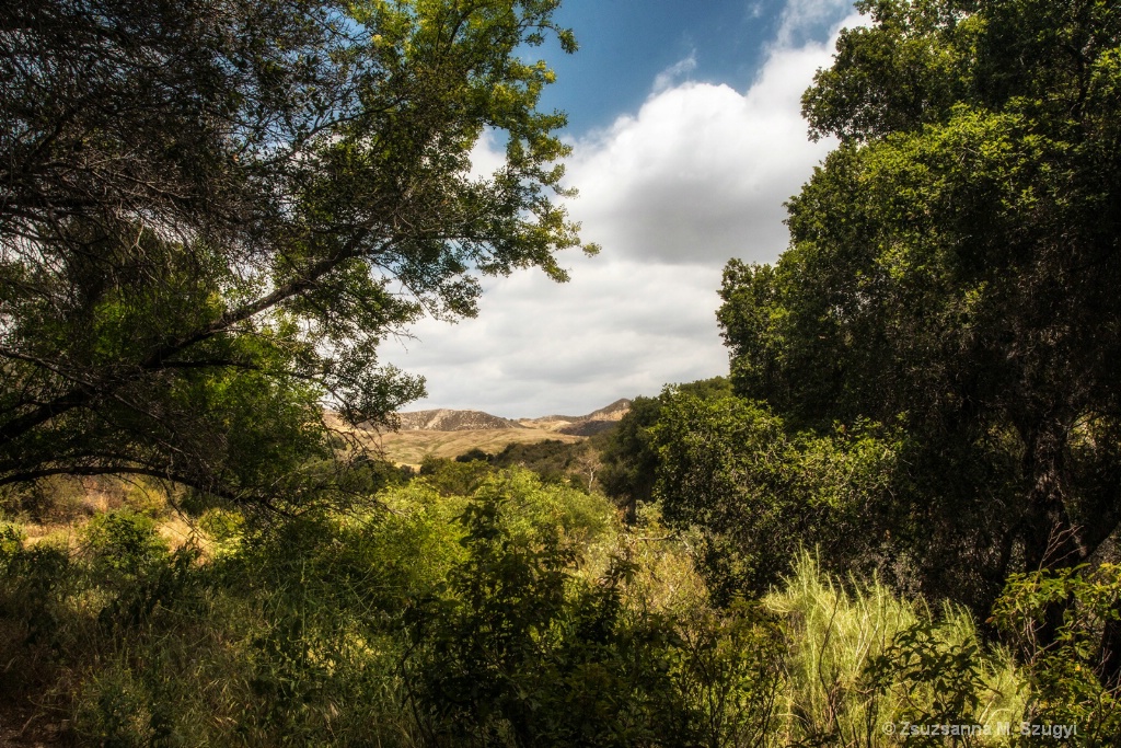 Placerita Canyon view