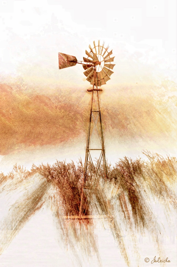 The Windmill