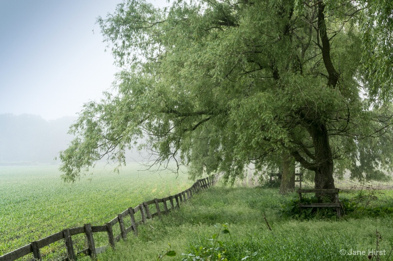 Horns Corners Farm Field