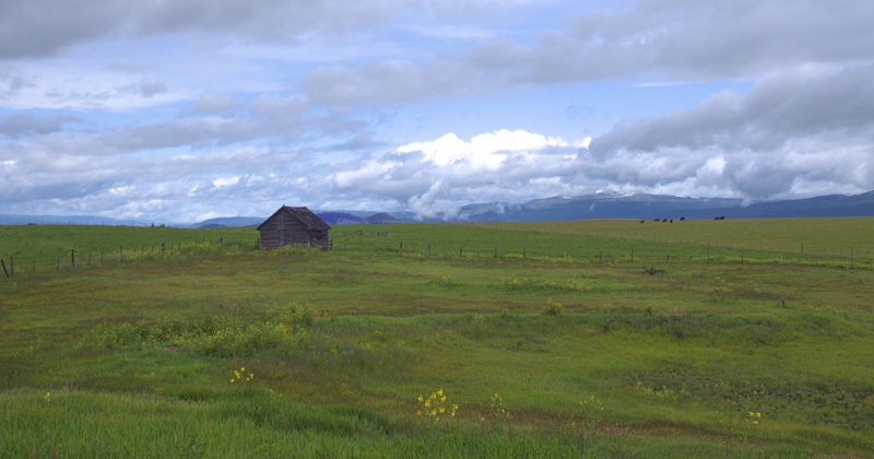 Cabin on the Plain 