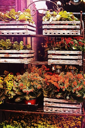 Crates of Flowers