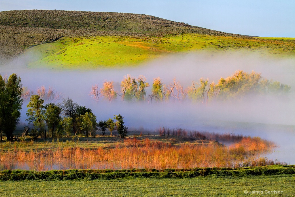 Yampa Valley Morning