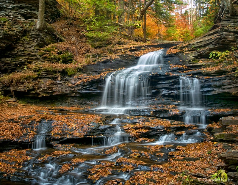 Fall and Waterfalls