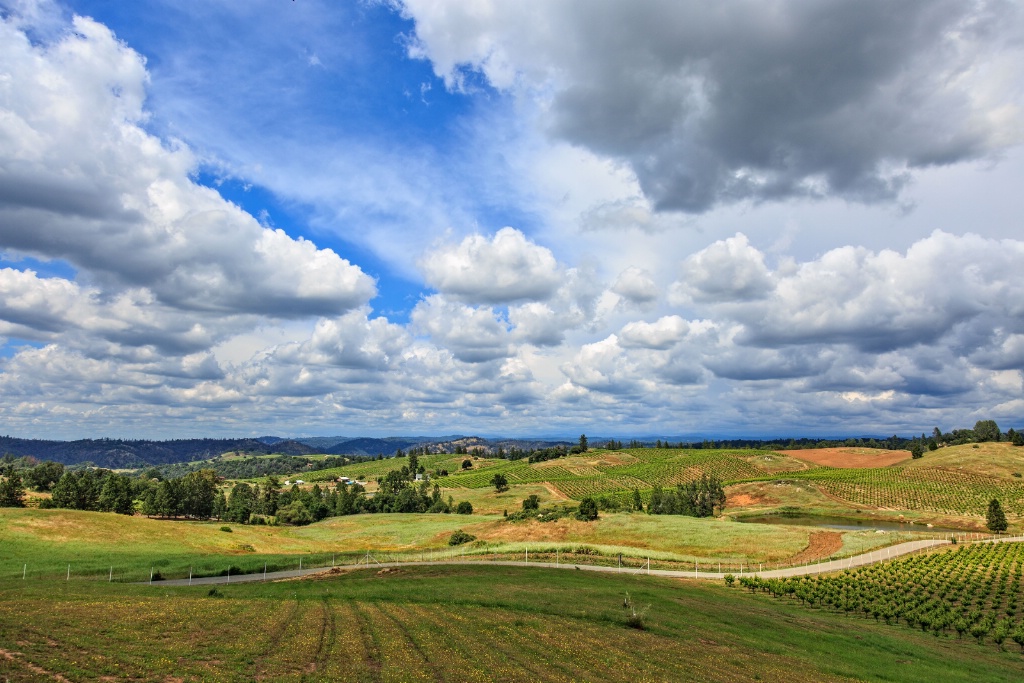 Vista from Driven Winery