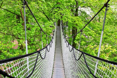 Hanging Bridge