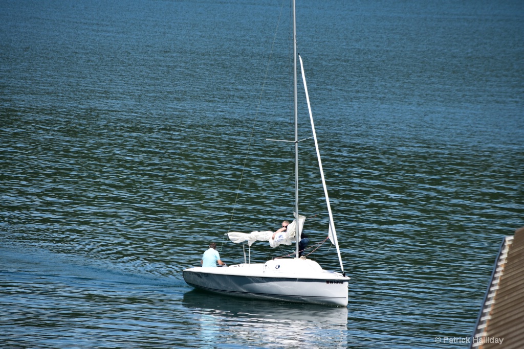 img7