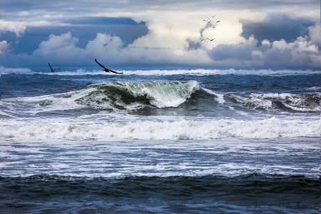 The Glory Of Morning On The Oregon Coast