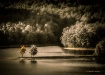 Two Trees