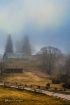 Spring Starts 