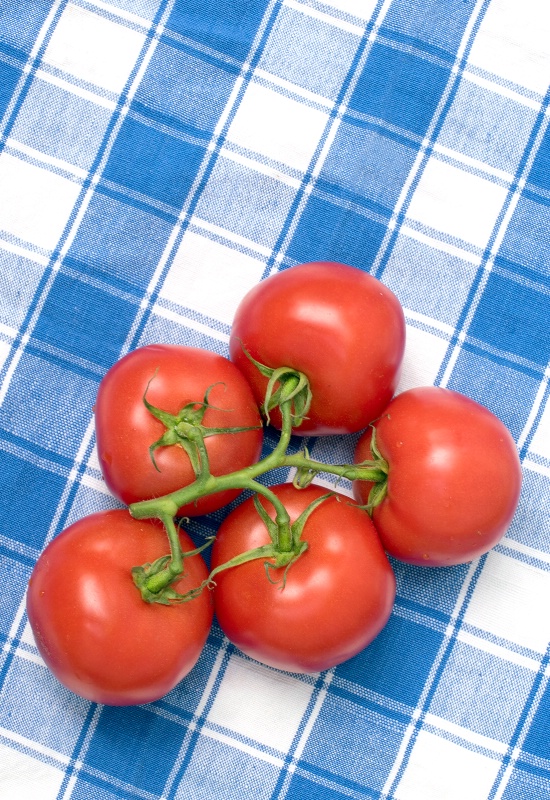 Tomatoes on Blue Checks