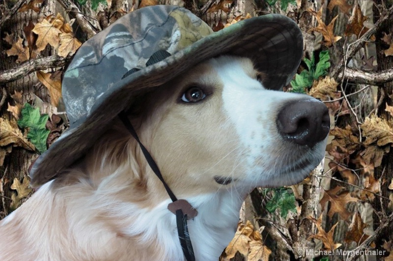 My Hunting Dog