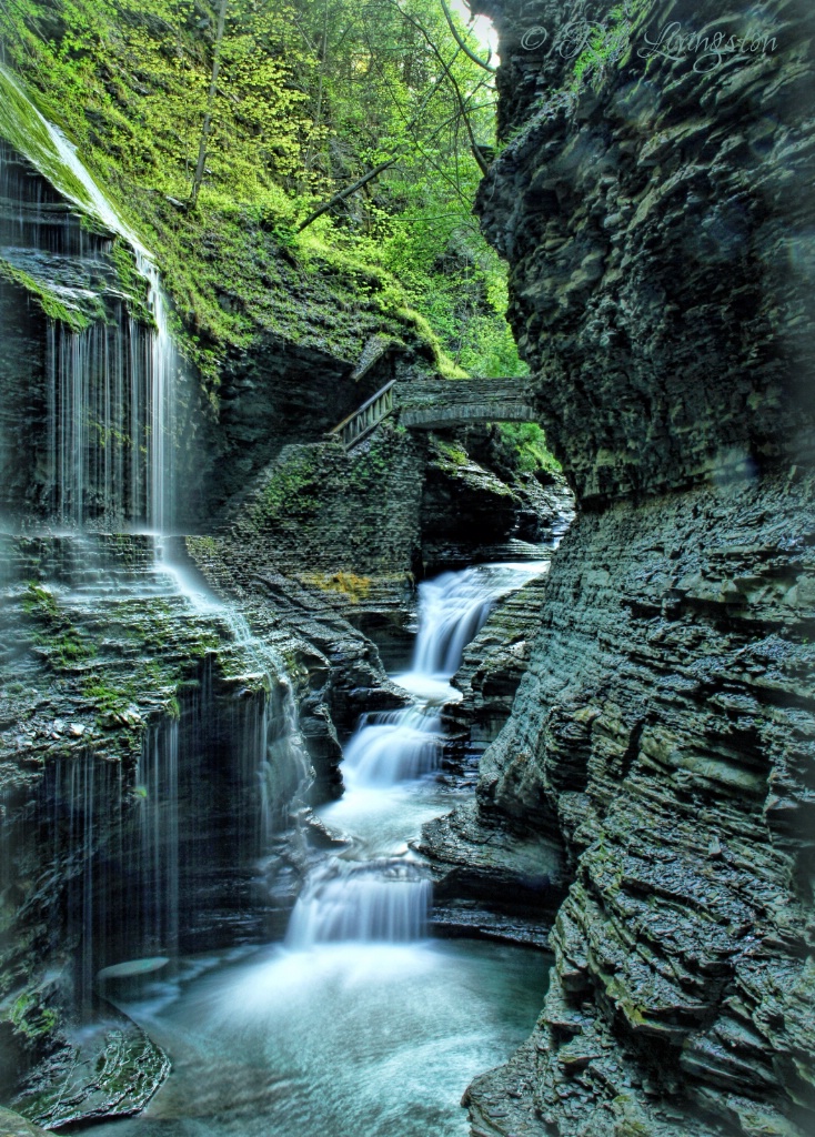 Watkins Glen