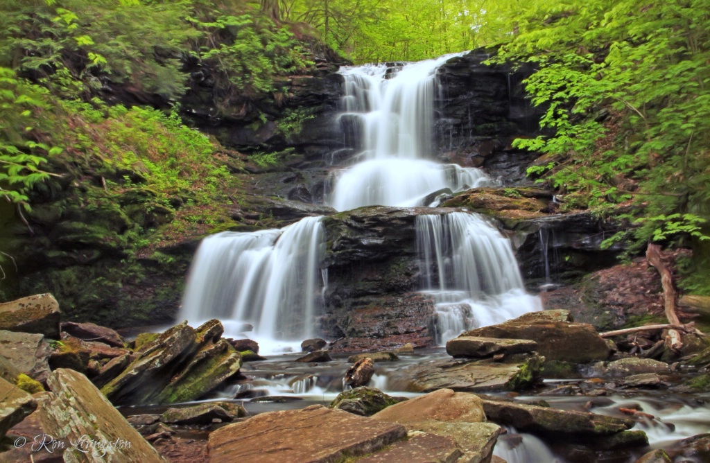 Ricketts Glen