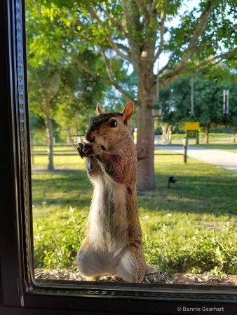 Breakfast with Rocky