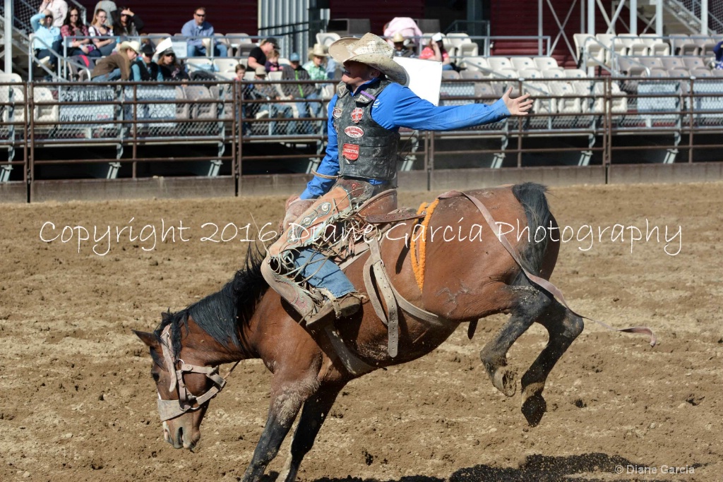 Austin Davis UHS SF16 SB 5.JPG - ID: 15161622 © Diane Garcia