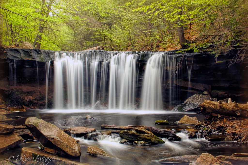 Oneida Falls