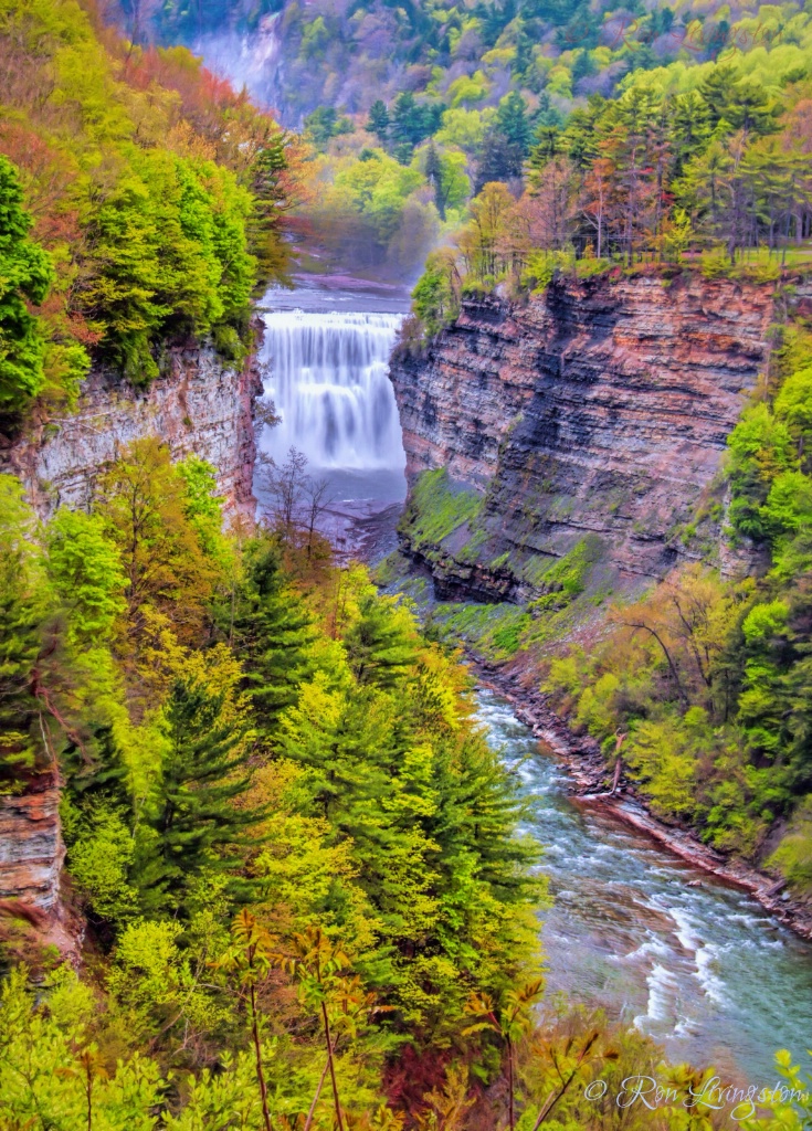 Lower Falls