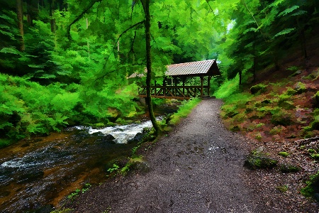 A Bridge in Black Forest