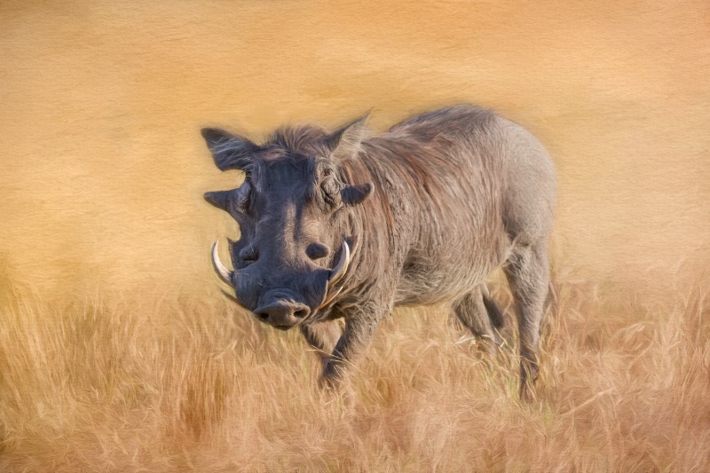 Warthog!