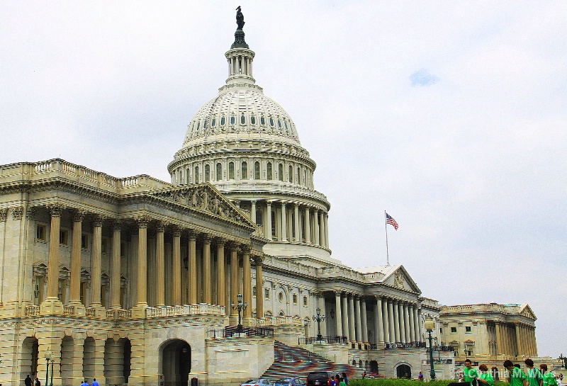 Capitol Tourists