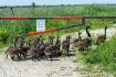 The Mother Lode- ...