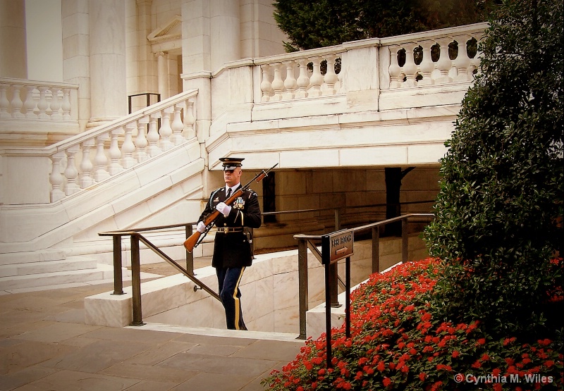 Honor Guard/Arlington National Cemetery 