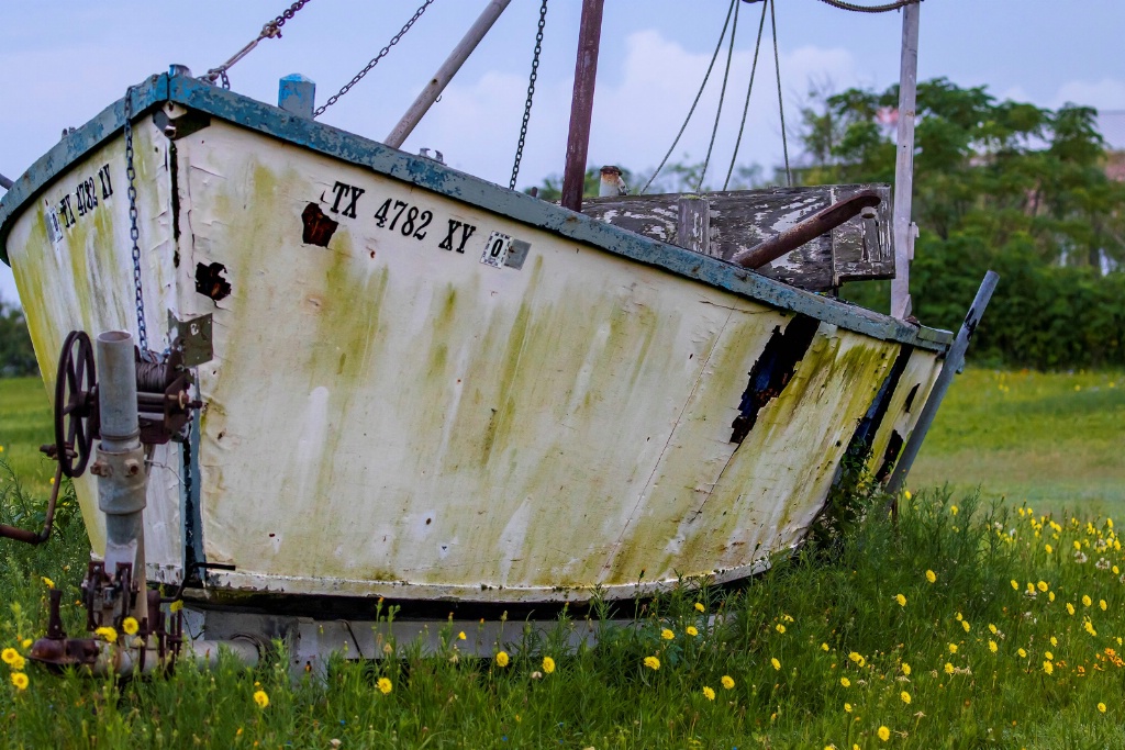 Out to Pasture