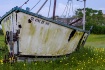 Out to Pasture