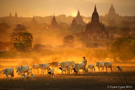 Golden Time of Bagan